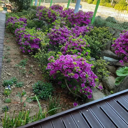 Capri Hakdong Pension Geoje Exterior photo