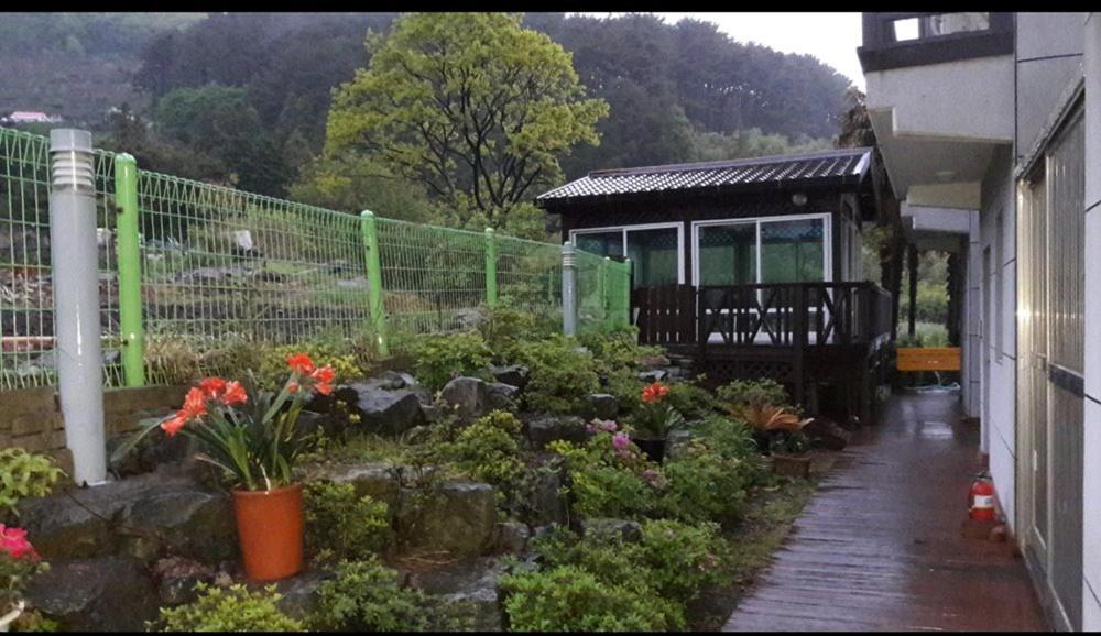 Capri Hakdong *