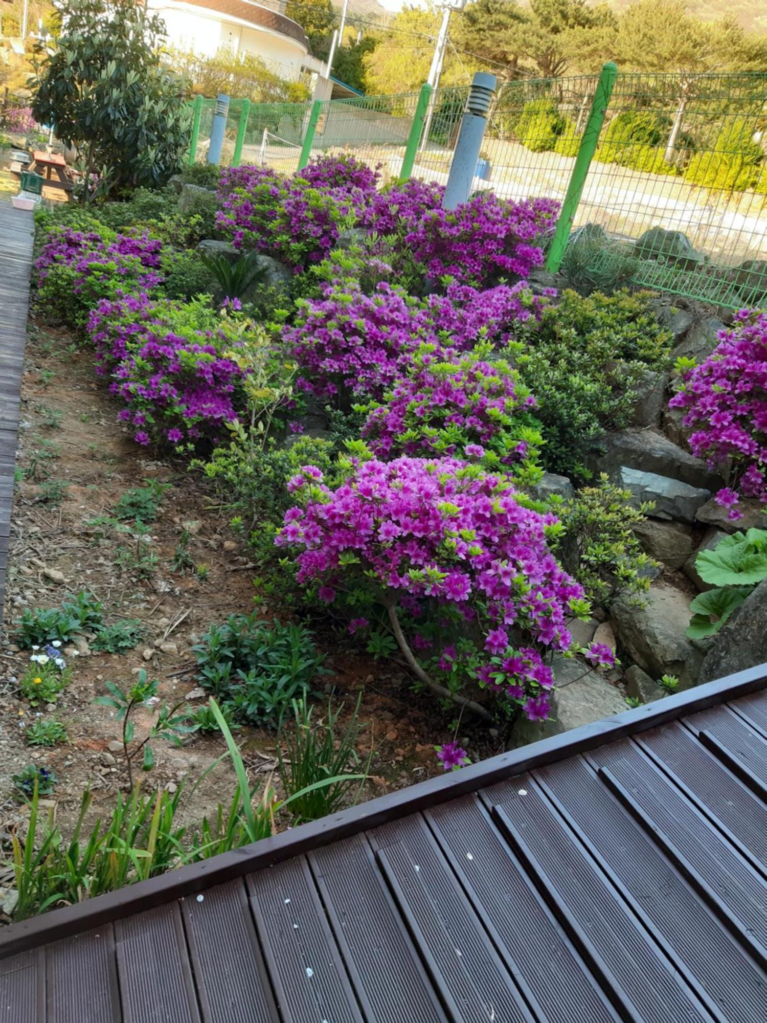 Capri Hakdong Holiday home *